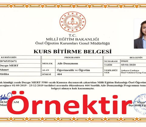 Uzaktan Eğitim Sertifikalarının İş Dünyasındaki Etkisi [2026 Püf Noktaları] - Kapak Görseli