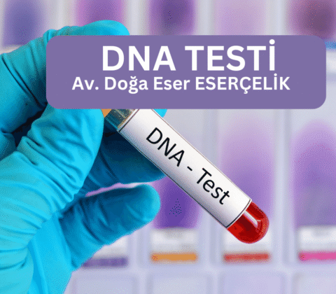 DNA Analiz Süresi ve Kesin Sonuçlar İçin Uzman İpuçları [2026] - Kapak Görseli