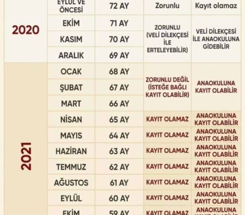Kaydolma Yaşı ve Başarı İçin Kanıtlanmış Bilimsel Kriterler [2026] - Kapak Görseli